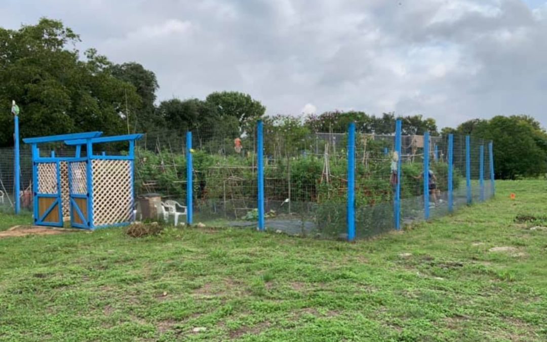 Community Garden